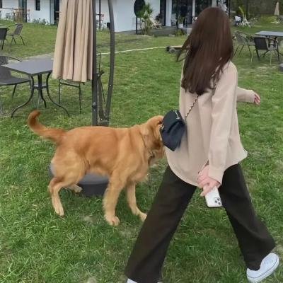 切柯·扎罗内 